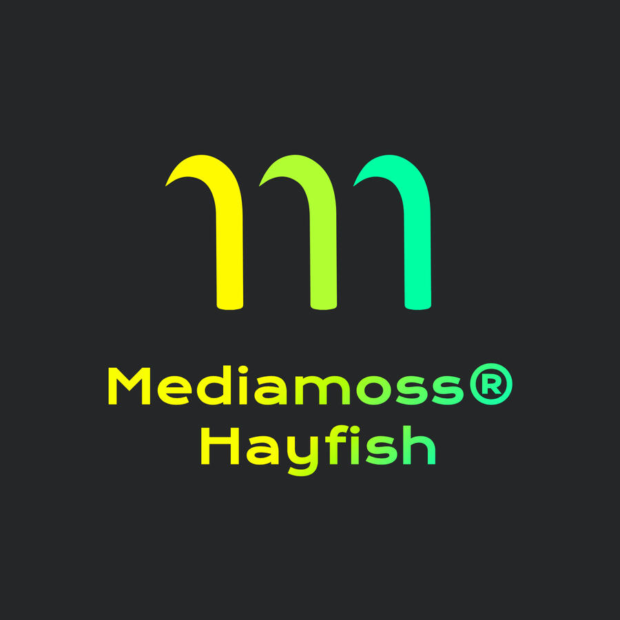 Mediamoss Hayfish Social Media Agentur Dortmund